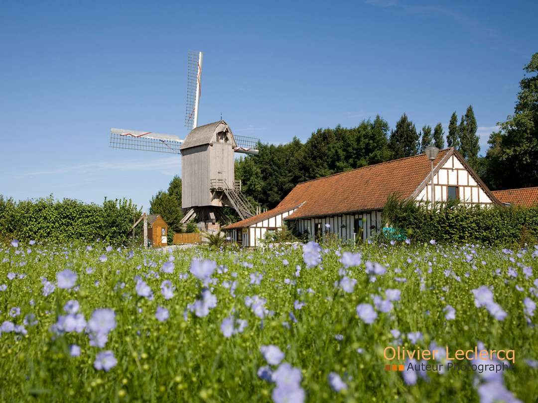 moulin campagne flandre cchf