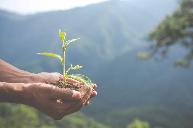 L’ADEME Tremplin à la Transition Ecologique des PME