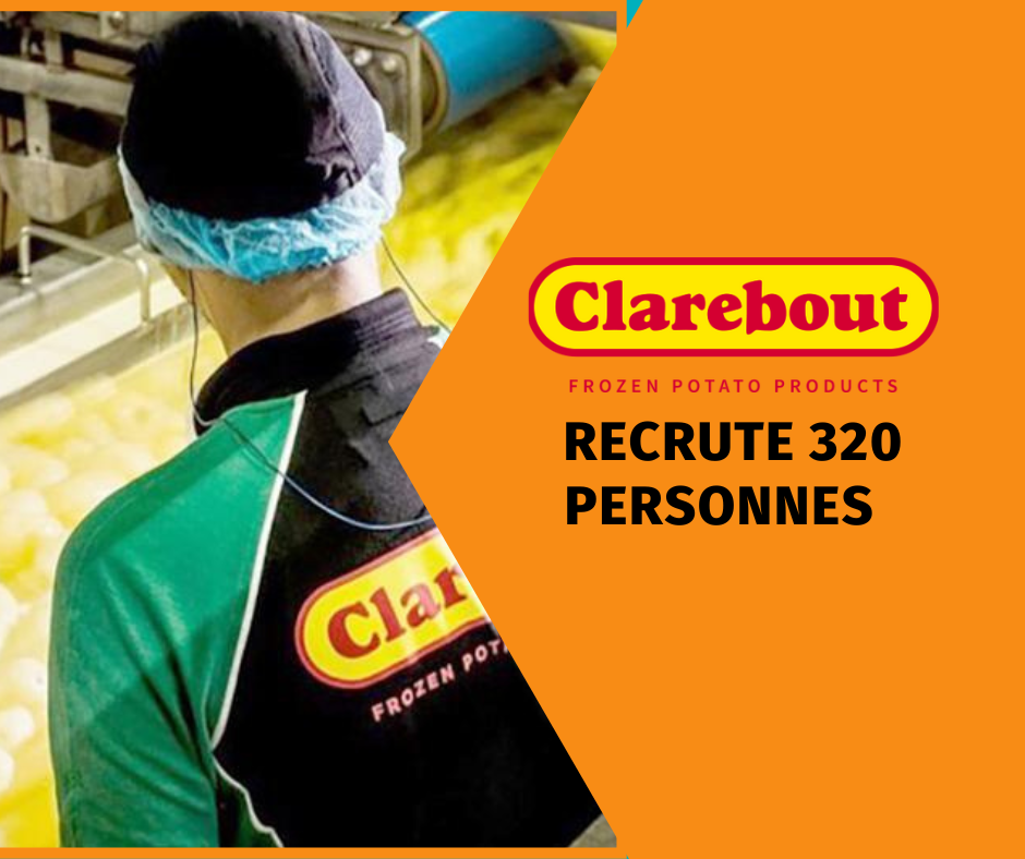 Clarebout Potatoes recrute pour son site de Dunkerque