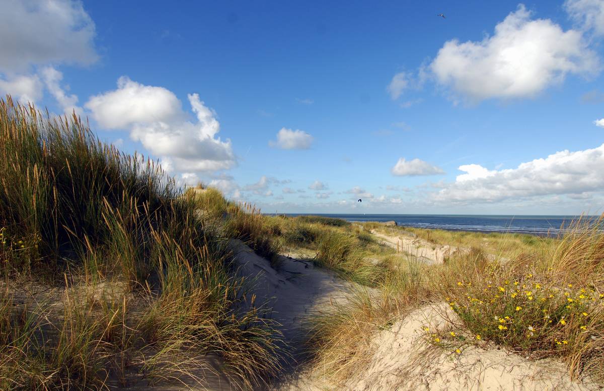 Welcome to Flanders-Dunkirk!