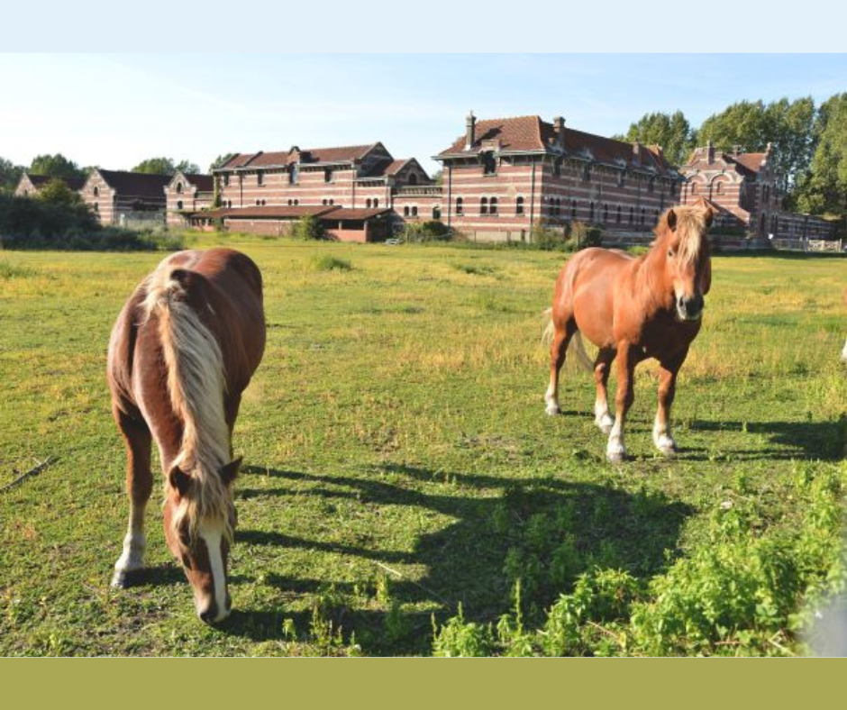 Mécénat – Réhabilitation de la Ferme Nord