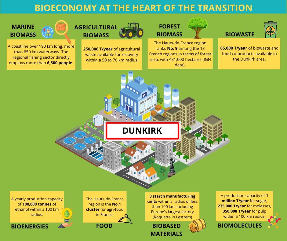 Infographie bioéconomie en anglais