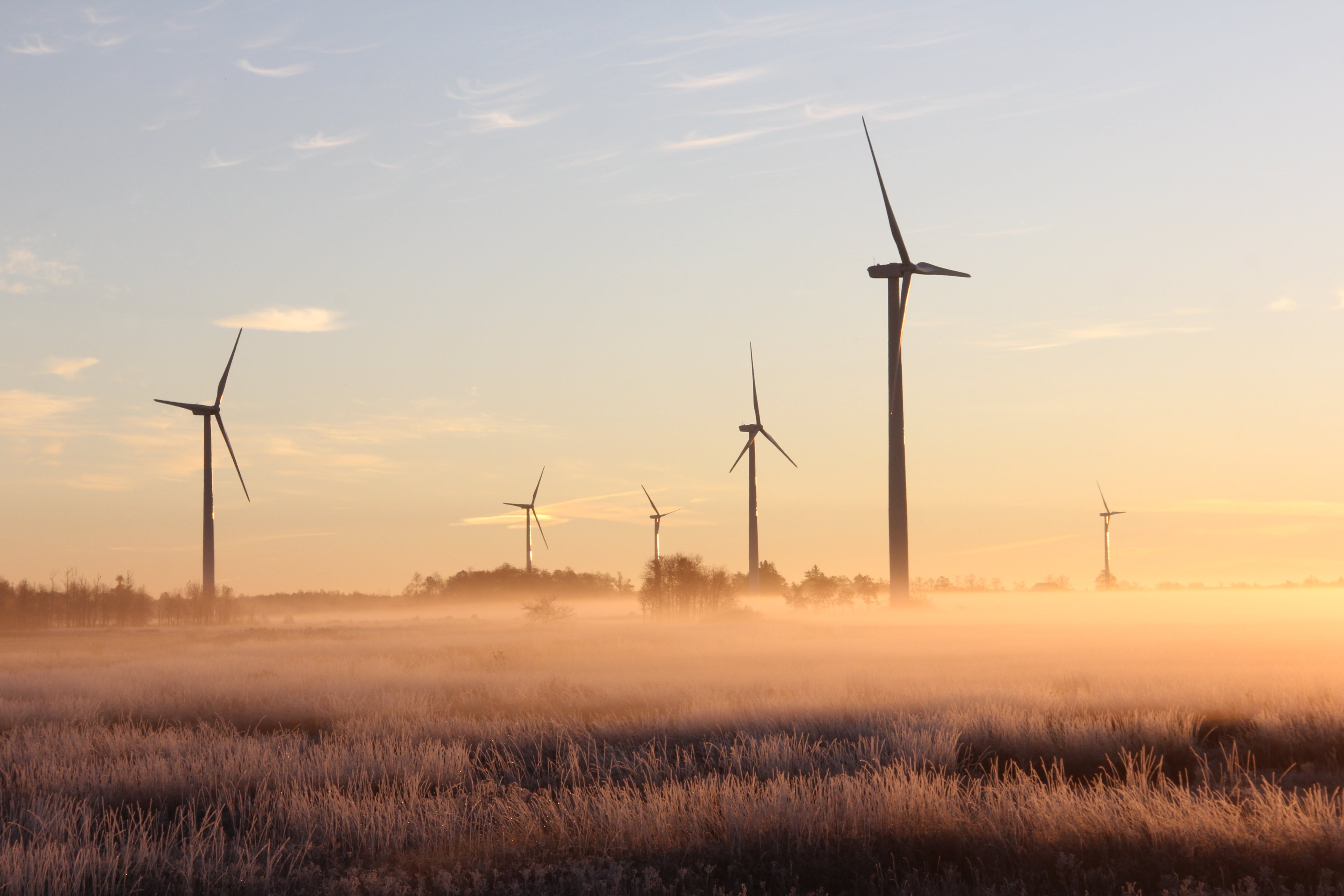 Un parc d'éoliennes