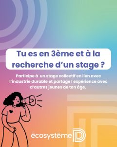 stage 3e