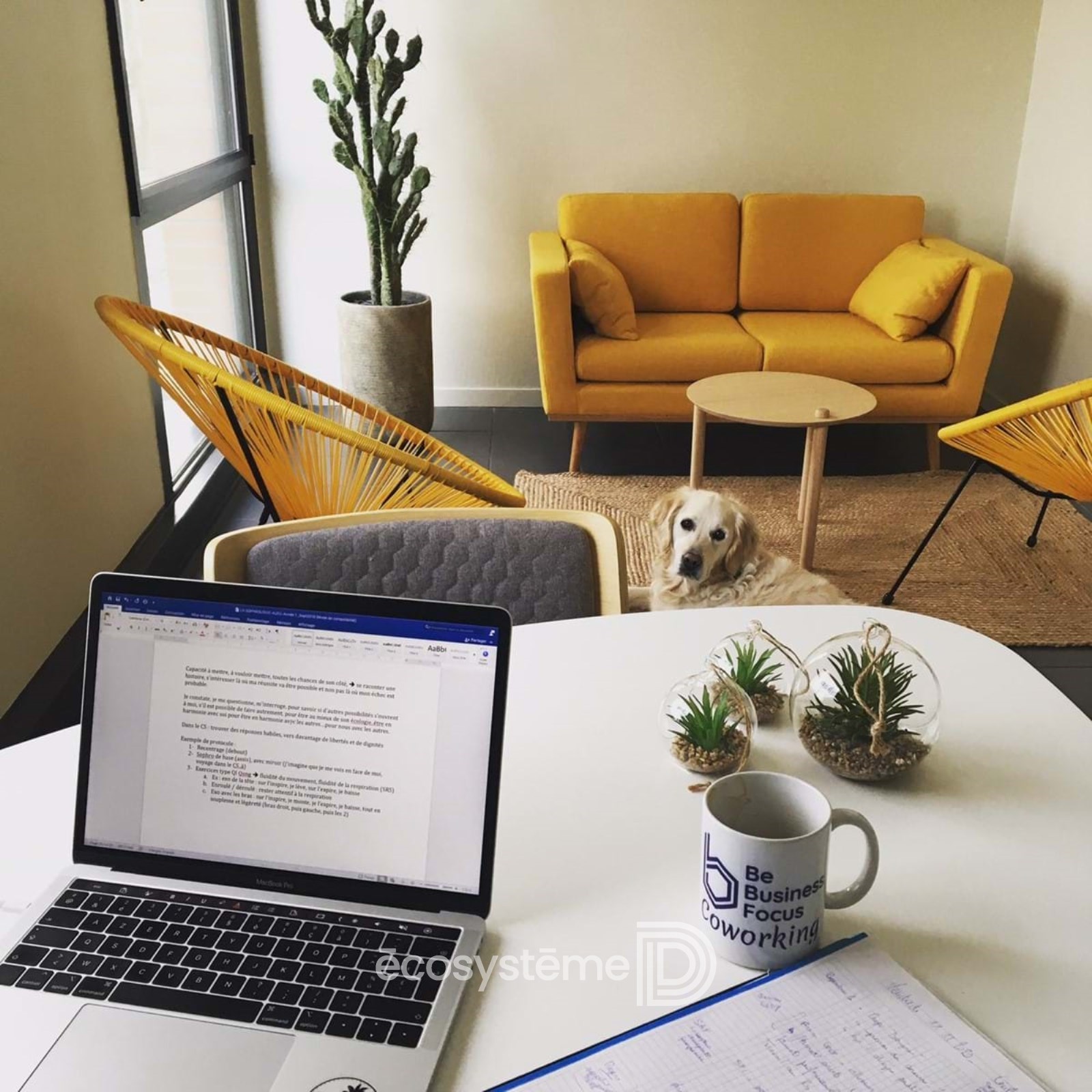 Espaces de Coworking au Parc de l’Etoile