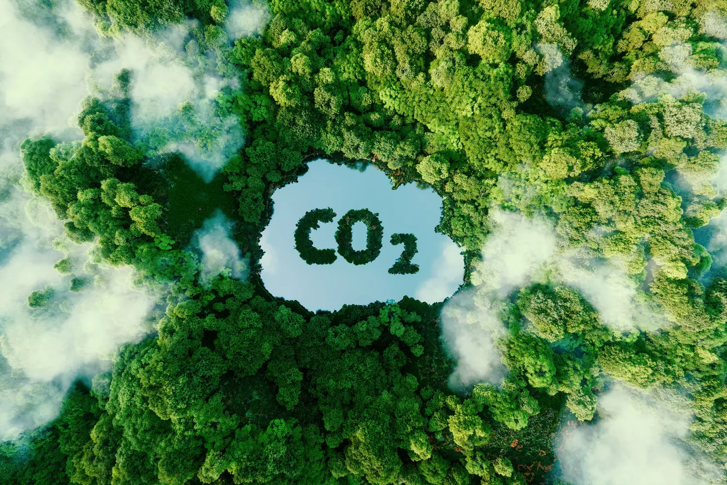 Usine de valorisation du CO₂ biogénique 